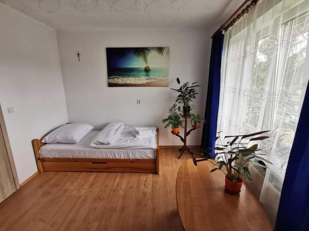 Homestay Goscinne U Marysi